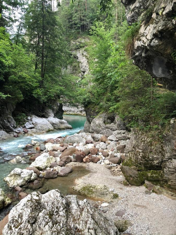 Greenwood Holiday Tarvisio Ngoại thất bức ảnh
