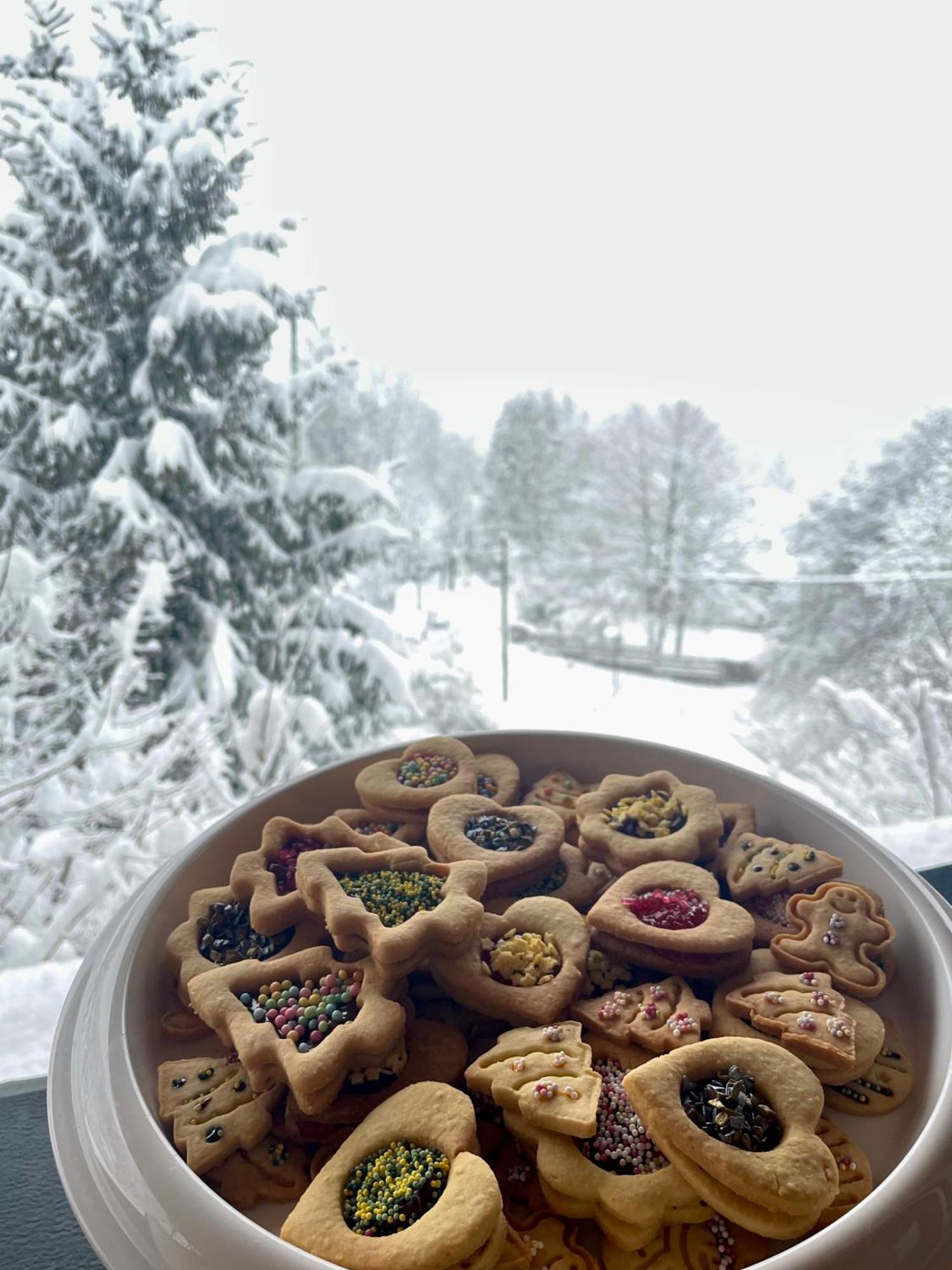 Greenwood Holiday Tarvisio Ngoại thất bức ảnh